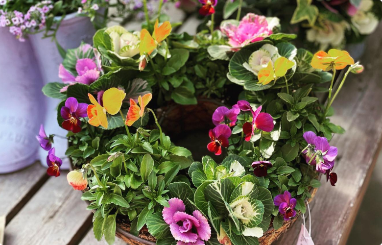 地元生産者の季節の花苗と暮らしを彩る園芸資材