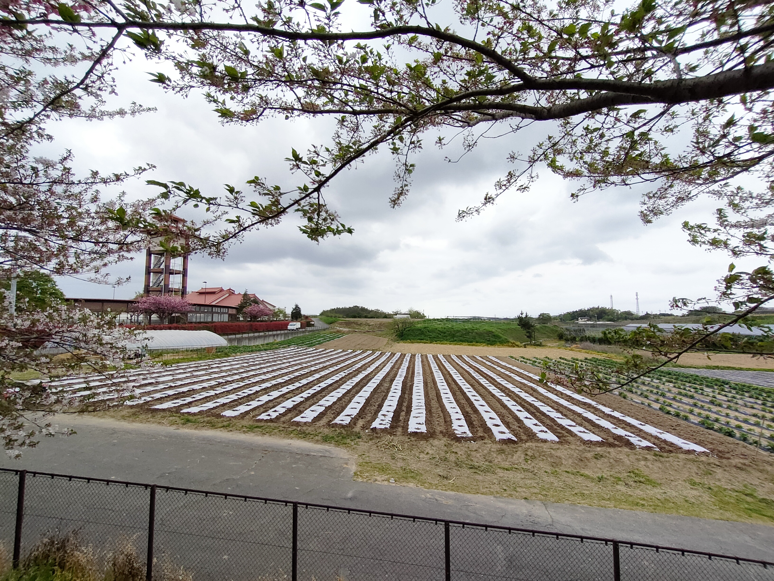 🥔令和8年度 げんきの郷「農と食体験」イベントのご案内🌽 | JAあぐり